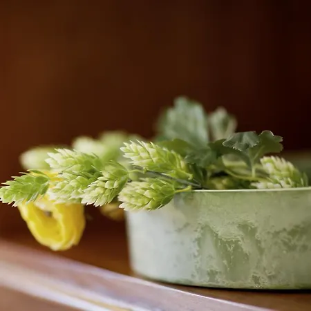 Lantgård Masseria Cisternella *